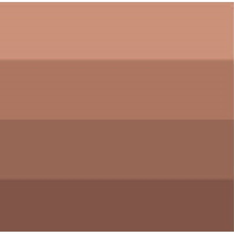 CBN Printing Waterwashable Ink 481 Burnt SiennaTSB, 60ml vesiliukoinen syväpainoväri