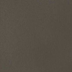 Liquitex Basics 118ml 331 Raw Umber, akryyliväri x