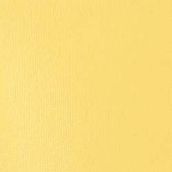Liquitex Basics 118ml 601 Naples Yellow Hue, akryyliväri x
