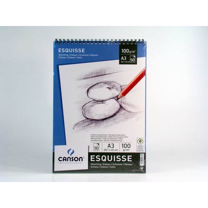 PA. Canson Luonnoslehtiö 100g A3 (50) kierre //, TL12012024