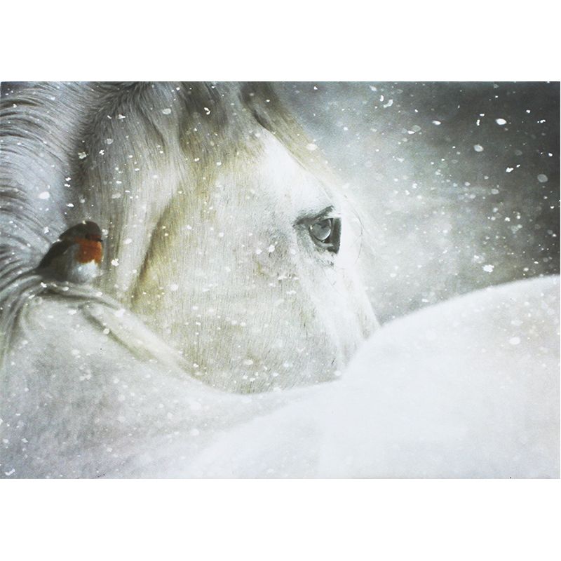 P. ILOX kirjekuori C6 Hevonen 10 kpl 100g, joulu 21