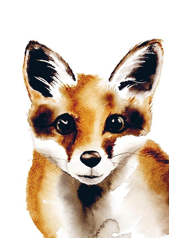 Postikortti Henna Adel - Kettu