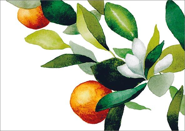 Postikortti Henna Adel - Appelsiini