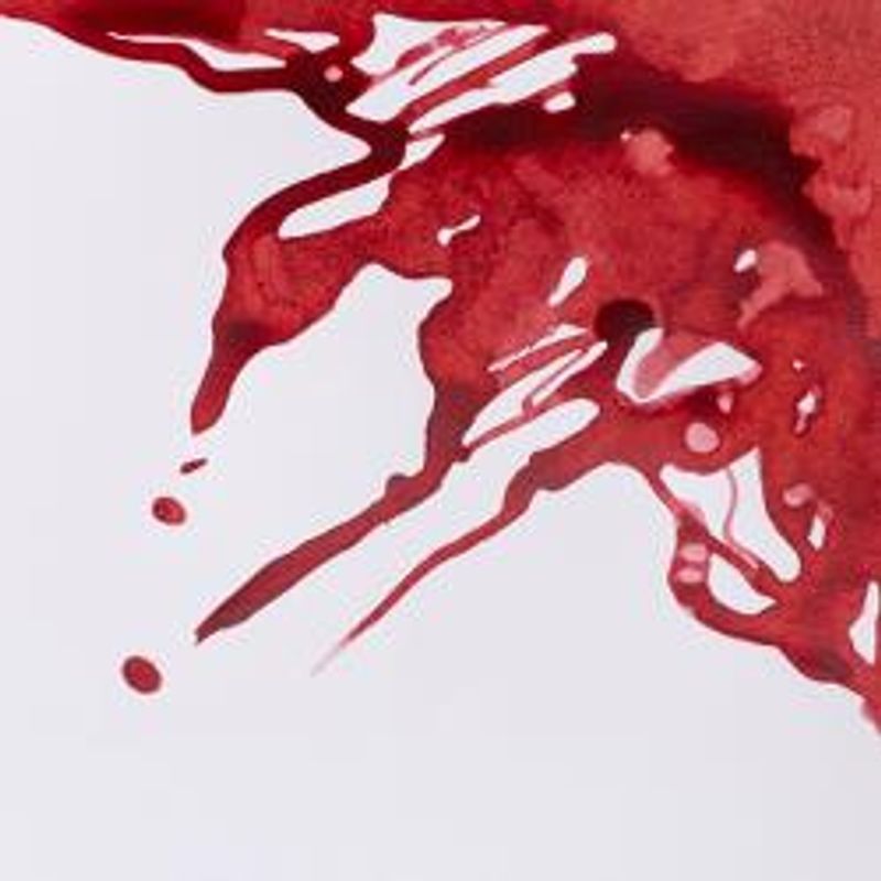 WN Drawing Ink 040 Brick red, 14ml piirustustussi