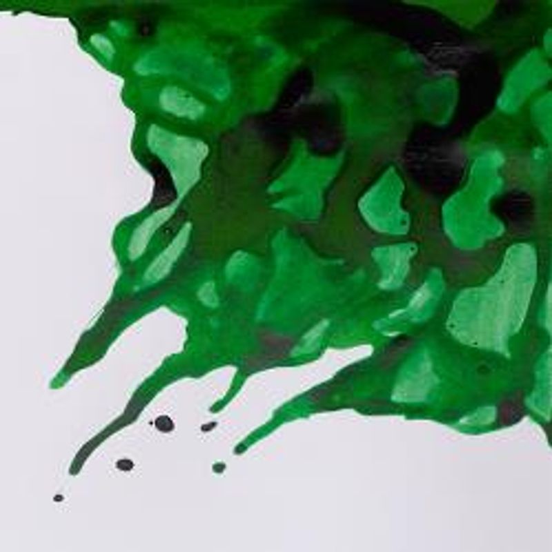 WN Drawing Ink 046 Brilliant green, 14ml piirustustussi
