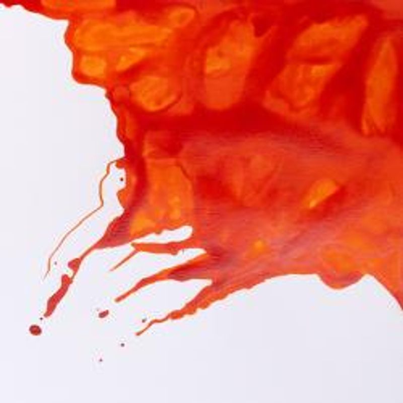 WN Drawing Ink 449 Orange, 14ml piirustustussi