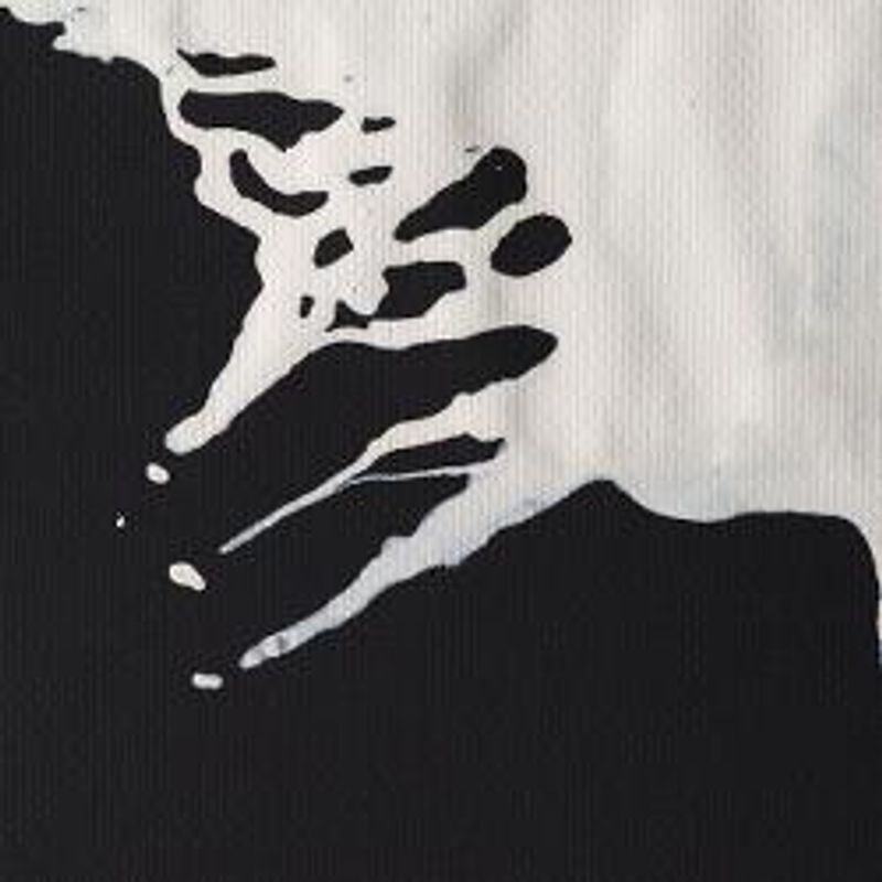 WN Drawing Ink 702 White, 14ml piirustustussi