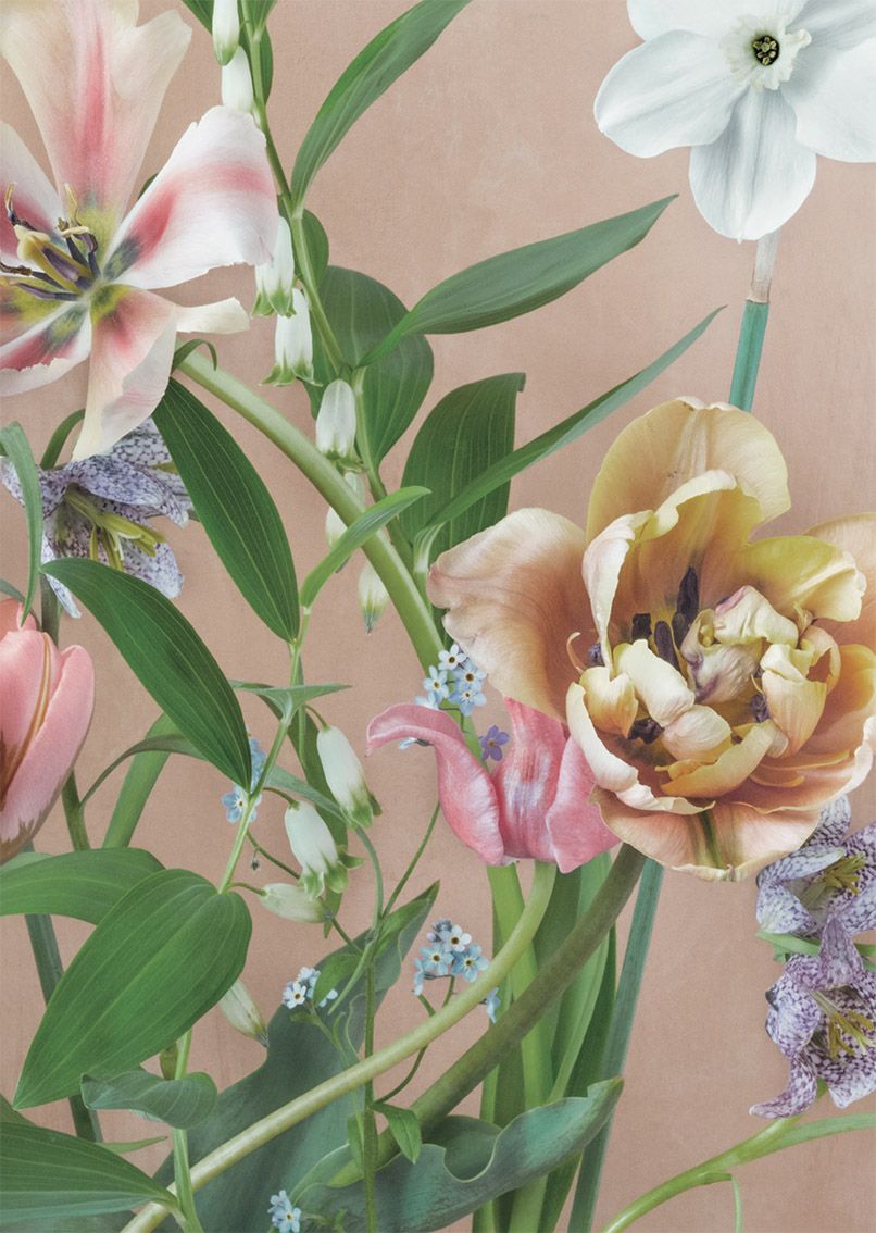 Postikortti Kreetta Järvenpää - Vaaleat tulppaanit