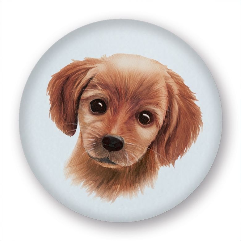 Magneetti M Putinki Henna Adel - Koira