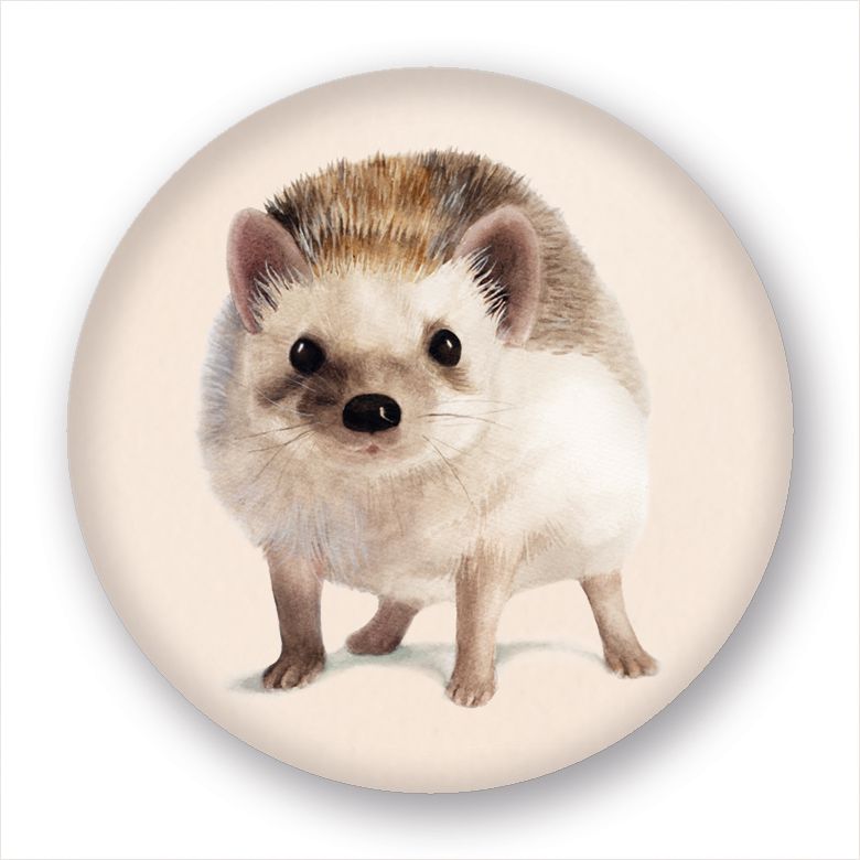 Magneetti M Putinki Henna Adel - Siili