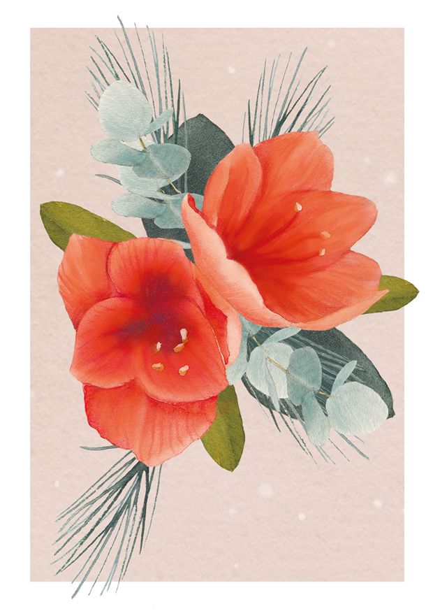 Joulukortti Henna Adel - Amaryllis