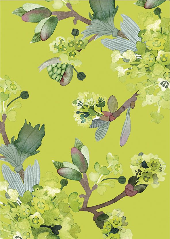 Postikortti Pentik - Vaahtera