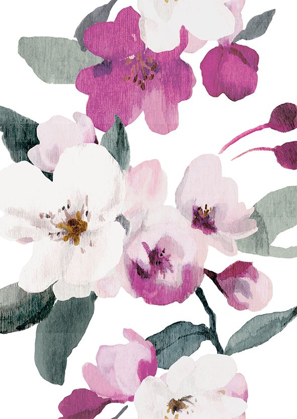 Postikortti Pentik - Purppuraomenapuu