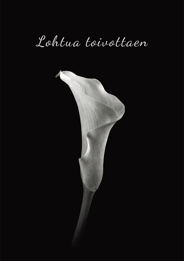 Postikortti suru Aleksi Pehmuste - Kalla