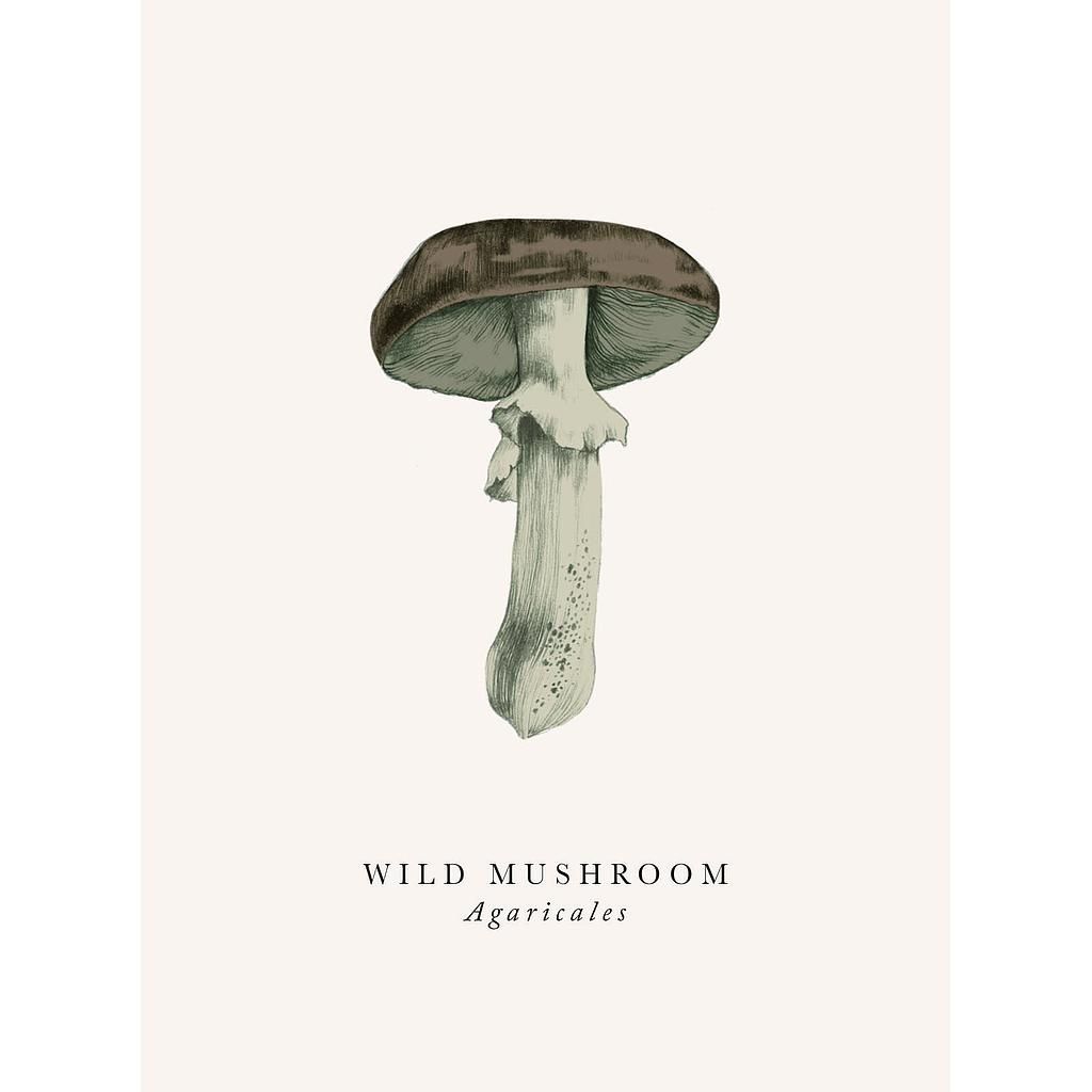 2-osainen kortti The Art File - Book and Botanics, Wild mushroom