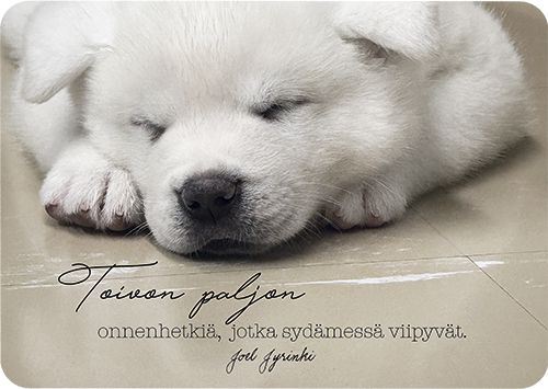 Toimitustapa: Sisäinen