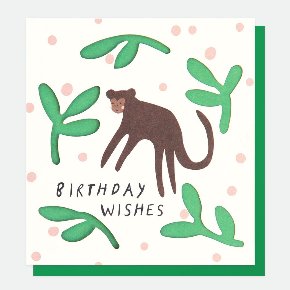 2-osainen kortti Caroline Gardner - Birthday wishes, apina