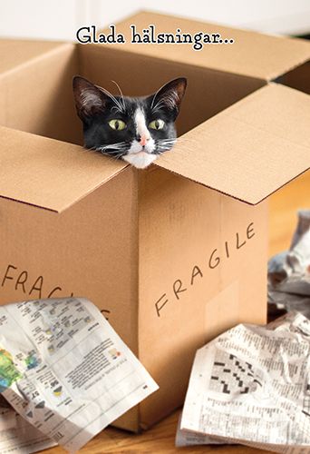 Toimitustapa: Sisäinen