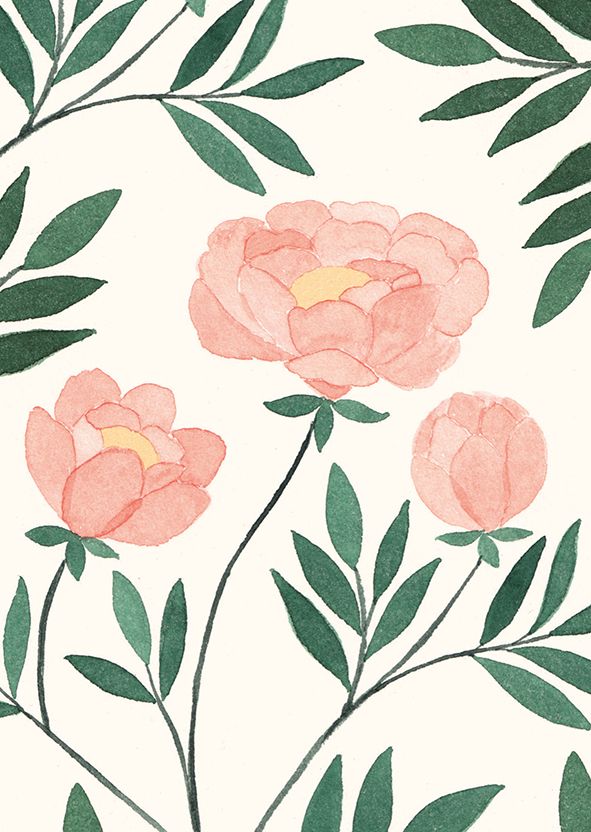 2-osainen kortti Polka Paper - Pionit