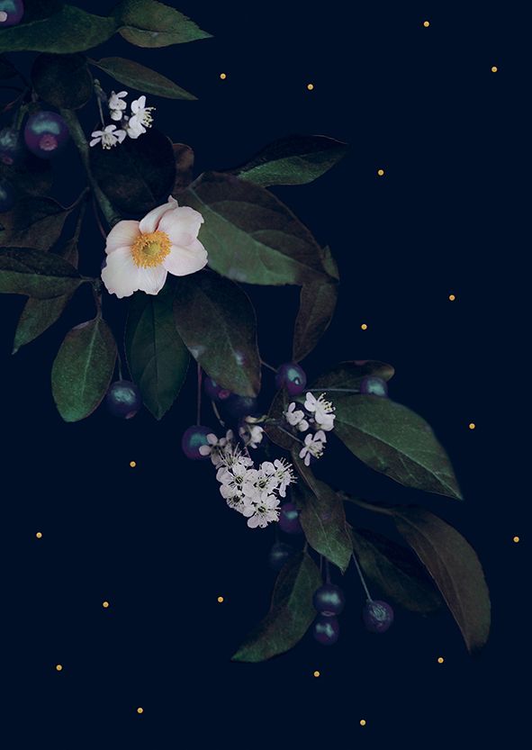 2-osainen kortti Uhana Design - Aronian oksa