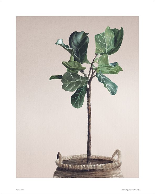 Juliste Putinki Henna Adel 24x30cm - Viikunapuu