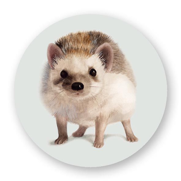 Magneetti M Putinki Henna Adel - Siili