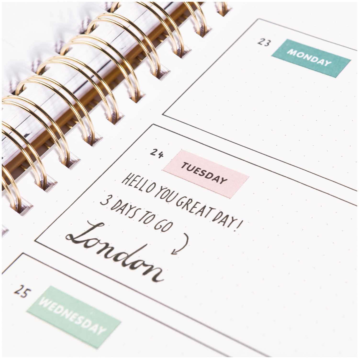 Tarrasetti Paper Poetry - Bujo Weekdays Green