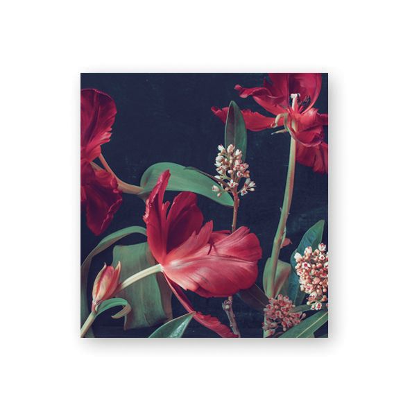 Pakettikortti Kreetta Järvenpää - Tulip talking