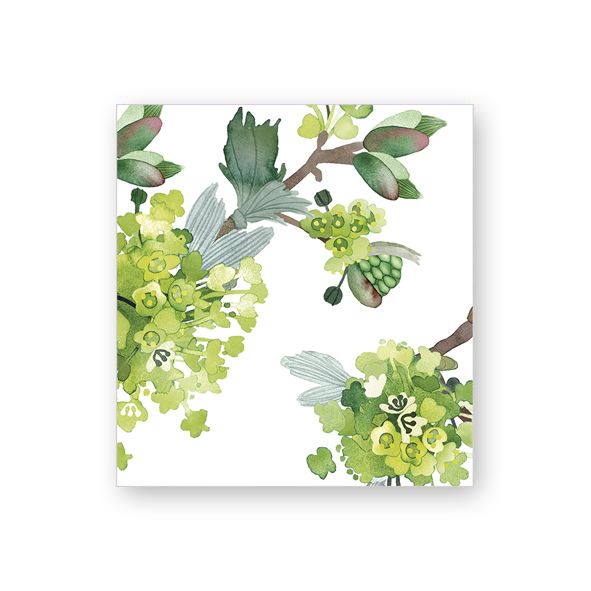 Pakettikortti Putinki Pentik - Vaahtera