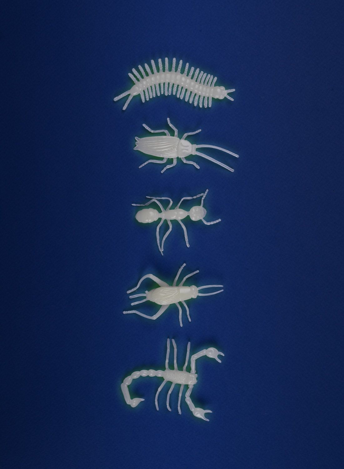 Hohtavat hyönteiset Moulin Roty