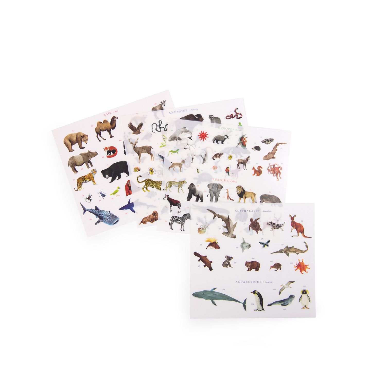 Siirtokuvat Moulin Roty - World map