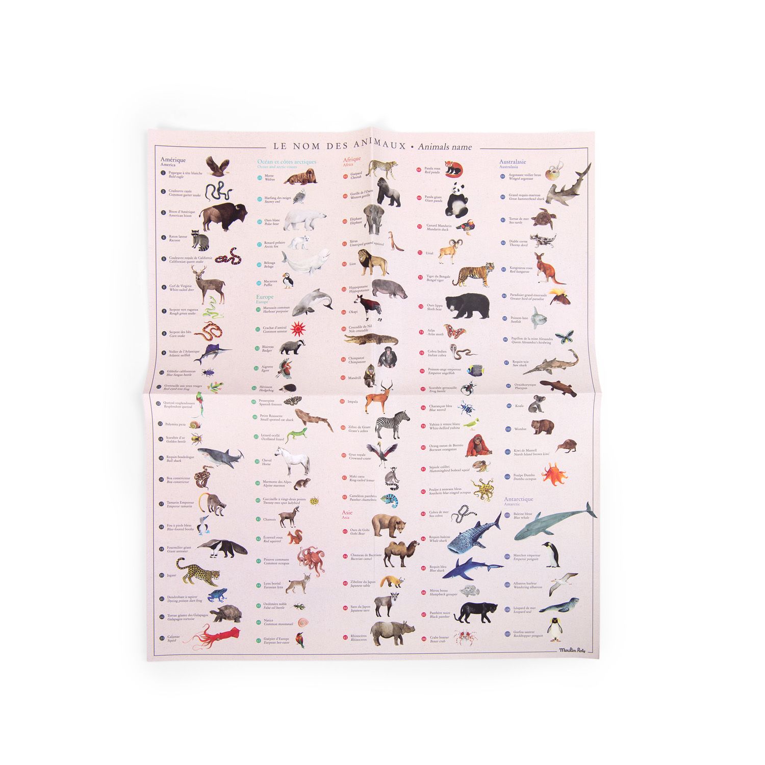 Siirtokuvat Moulin Roty - World map