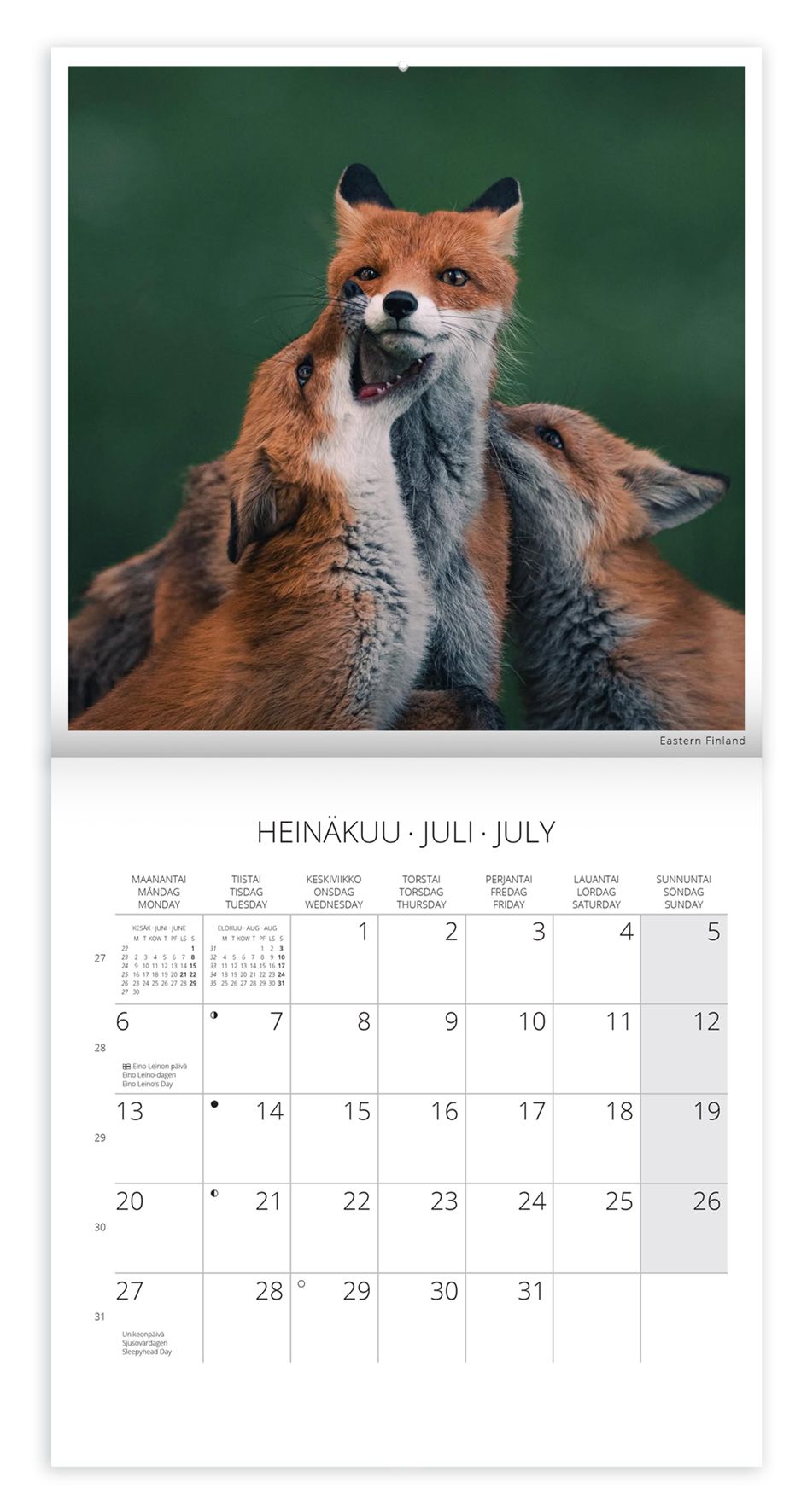 Seinäkalenteri 20x20cm Putinki - Konsta Punkka 2026