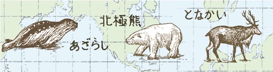 MT masking tape - world animals