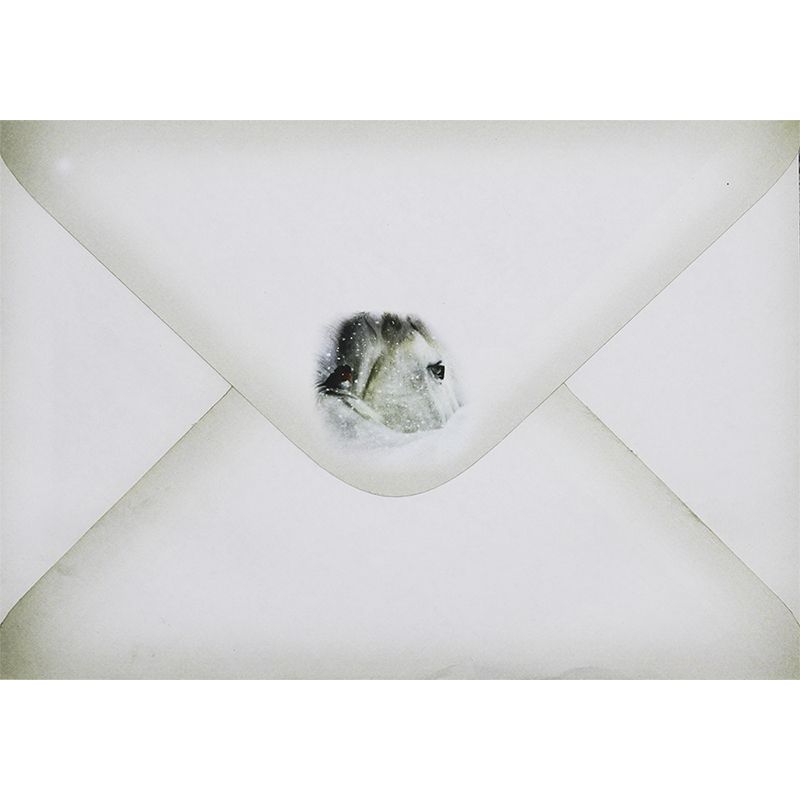 P. ILOX kirjekuori C6 Hevonen 10 kpl 100g, joulu 21