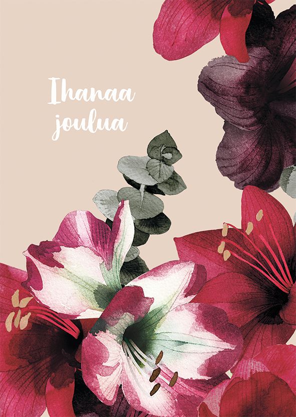 Postikortti joulu Pentik - Amaryllis, ihanaa joulua