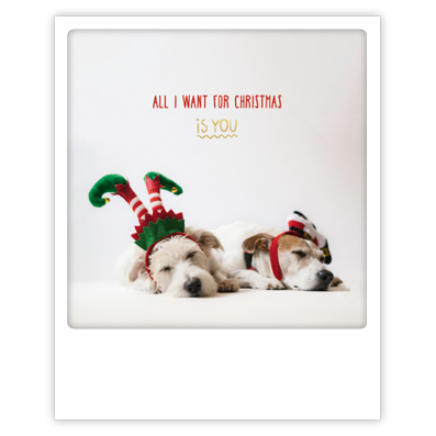 Postikortti joulu Pickmotion - All I want for Christmas is you