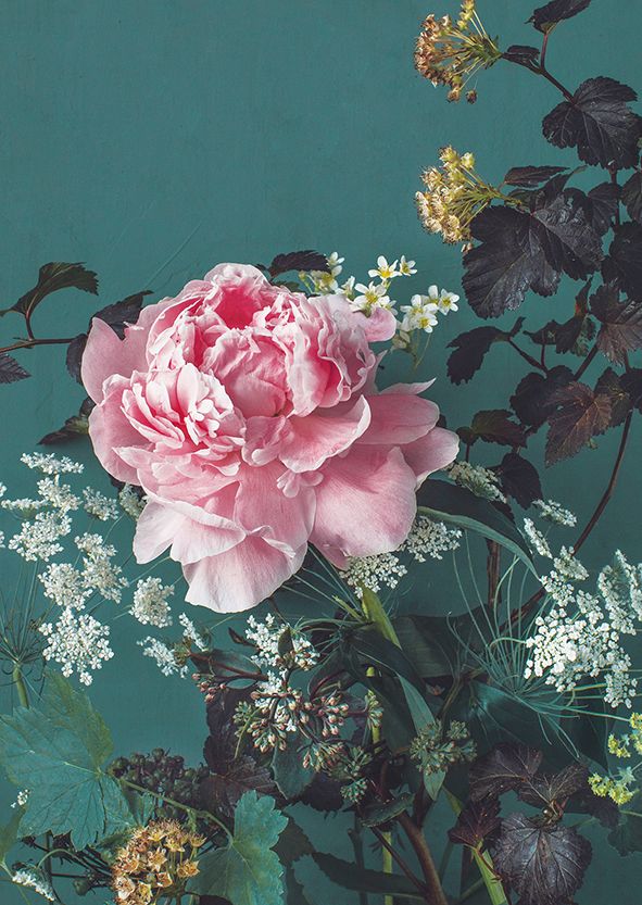 2-osainen kortti Kreetta Järvenpää - Peony Portrait 2022