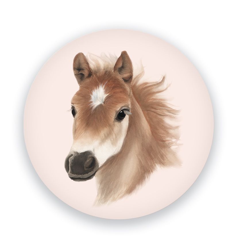 Magneetti M Putinki Henna Adel - Hevonen