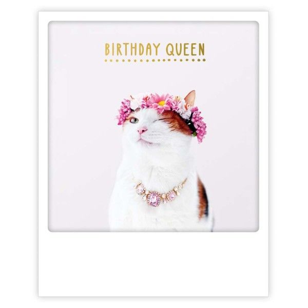 Postikortti Pickmotion - Birthday Queen, kissa