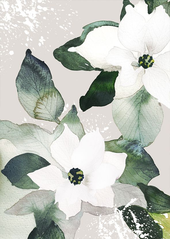 2-osainen kortti joulu Pentik - Valkoinen joulutähti