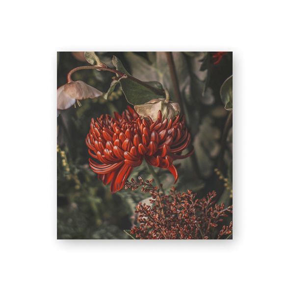 Pakettikortti joulu Putinki Järvenpää - Punaiset kukat