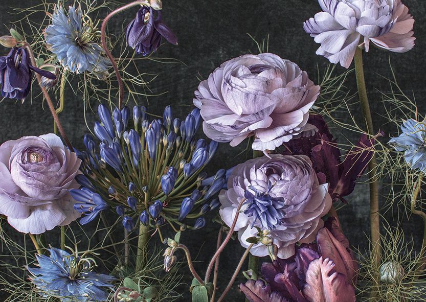 Postikortti Kreetta Järvenpää - Sweet Dreams