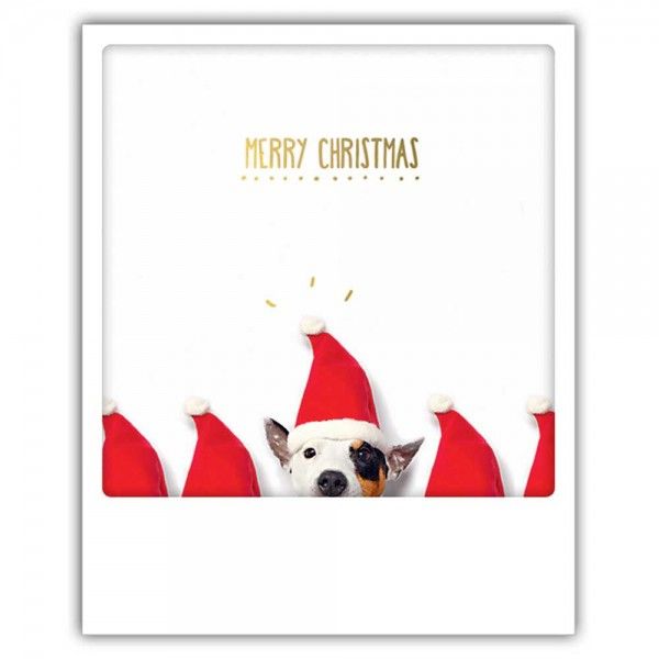 Postikortti joulu Pickmotion - Merry Christmas, koira