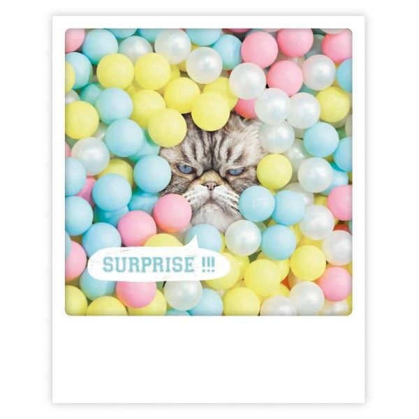 Postikortti Pickmotion - Surprise, kissa