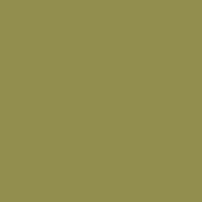 WN Promarker Olive green (Y724)