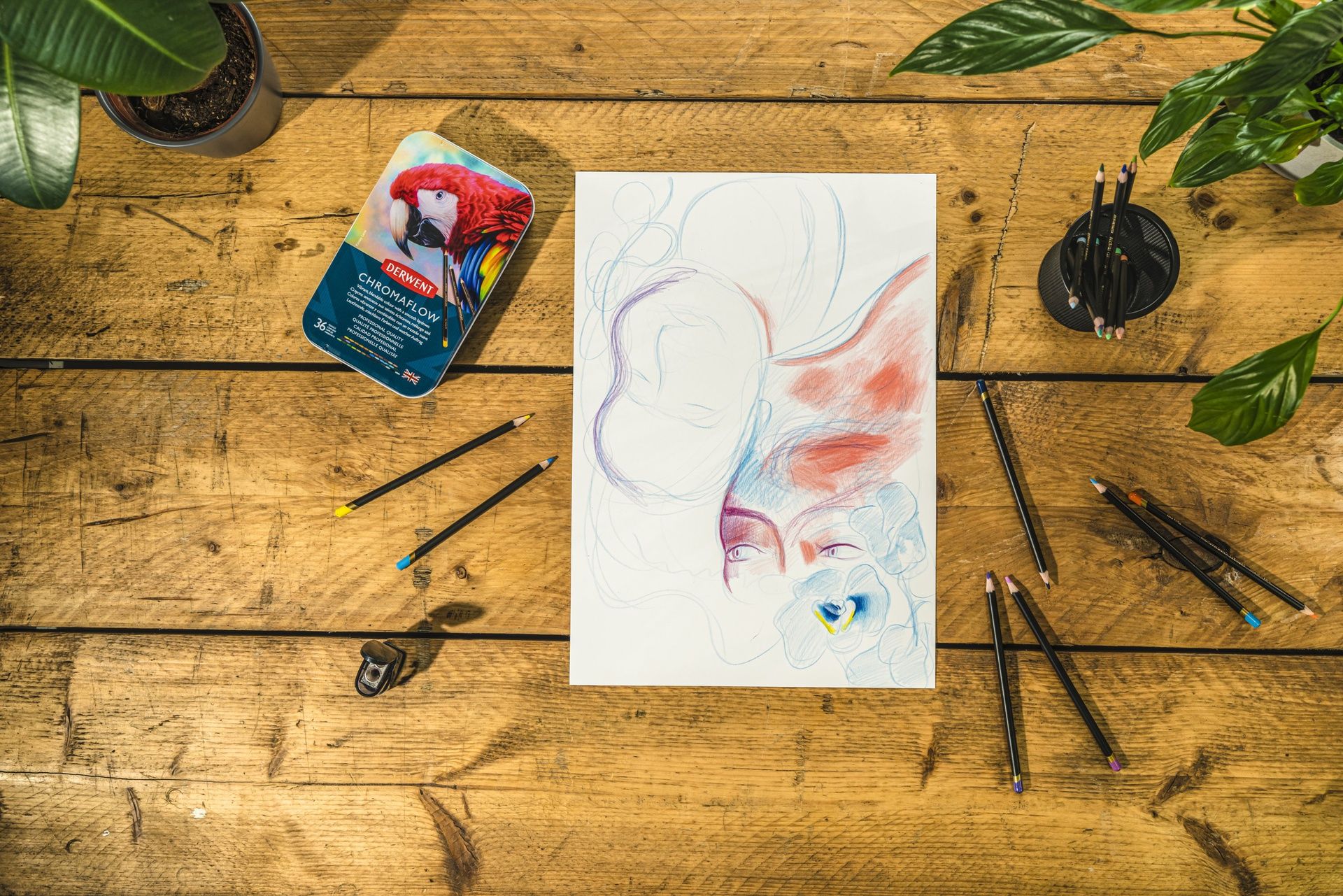 Derwent Chromaflow 36 värikynälajitelma