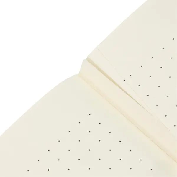 Vihko A5 Paperblanks - Mozart, The Hunt